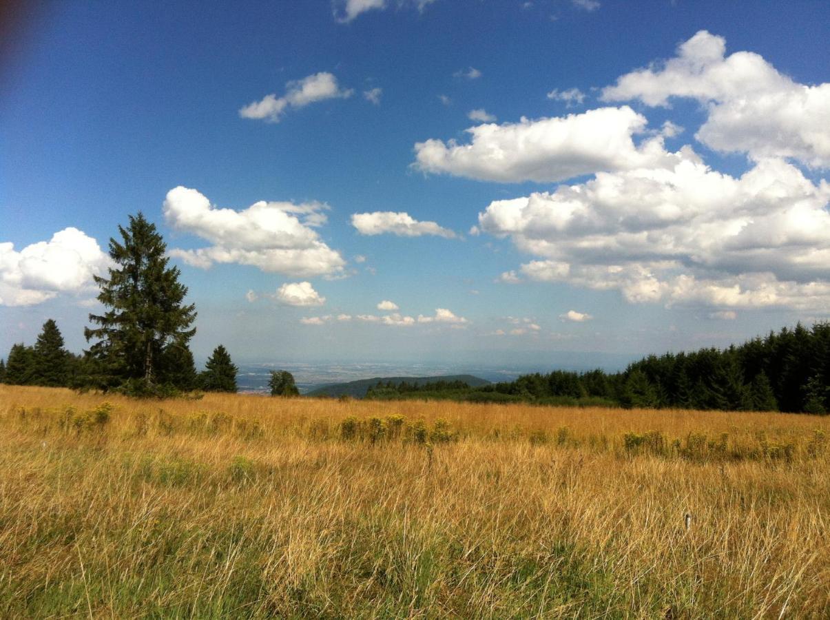 Les Gites De La Serva - Champ Du Feu - Montagnes- Vosges 贝尔蒙特 外观 照片